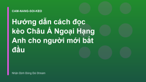 Read more about the article Hướng dẫn cách đọc kèo Châu Á Ngoại Hạng Anh cho người mới bắt đầu